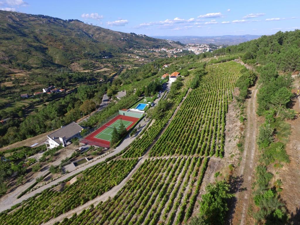 Гостевой дом Quinta Da Timpeira Ламегу Экстерьер фото