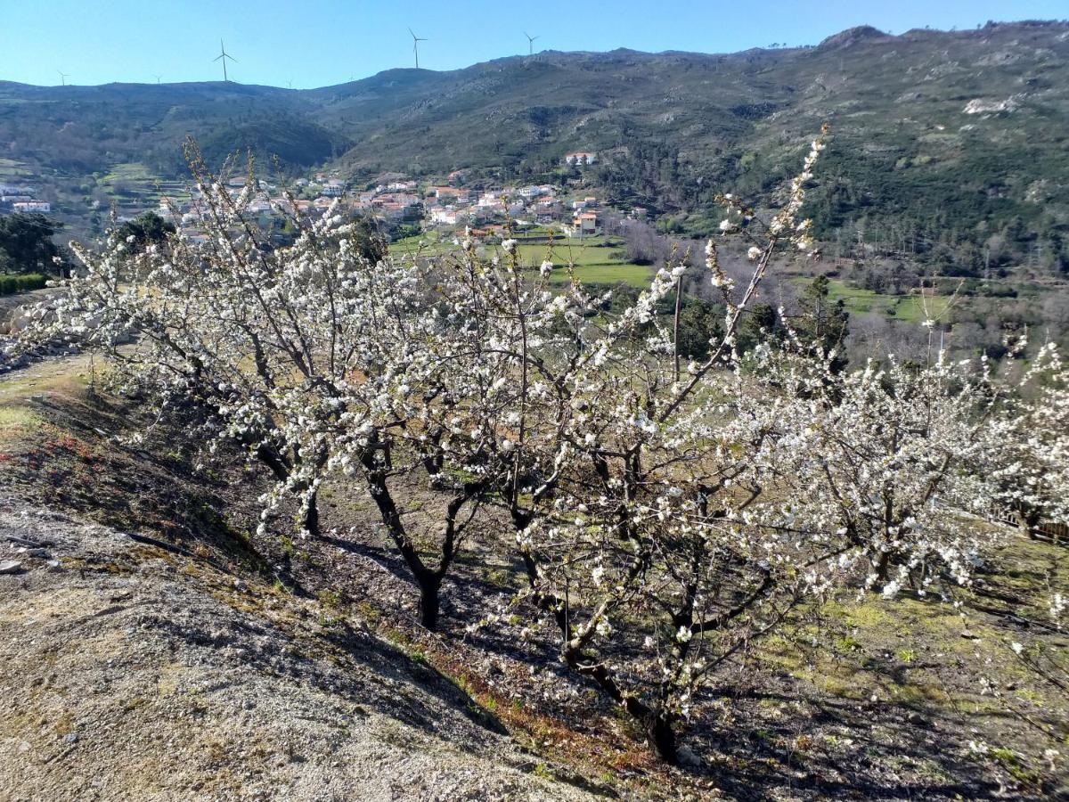 Гостевой дом Quinta Da Timpeira Ламегу Экстерьер фото