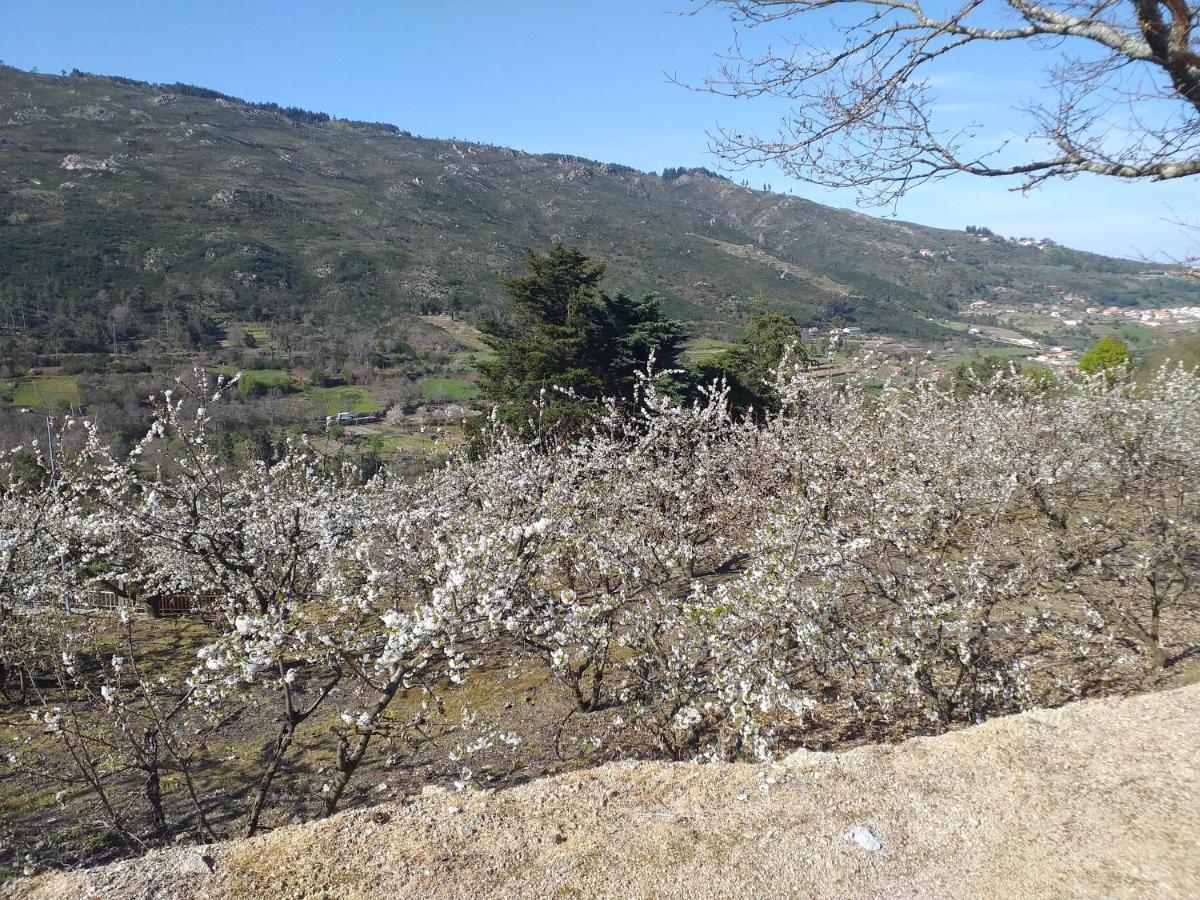Гостевой дом Quinta Da Timpeira Ламегу Экстерьер фото